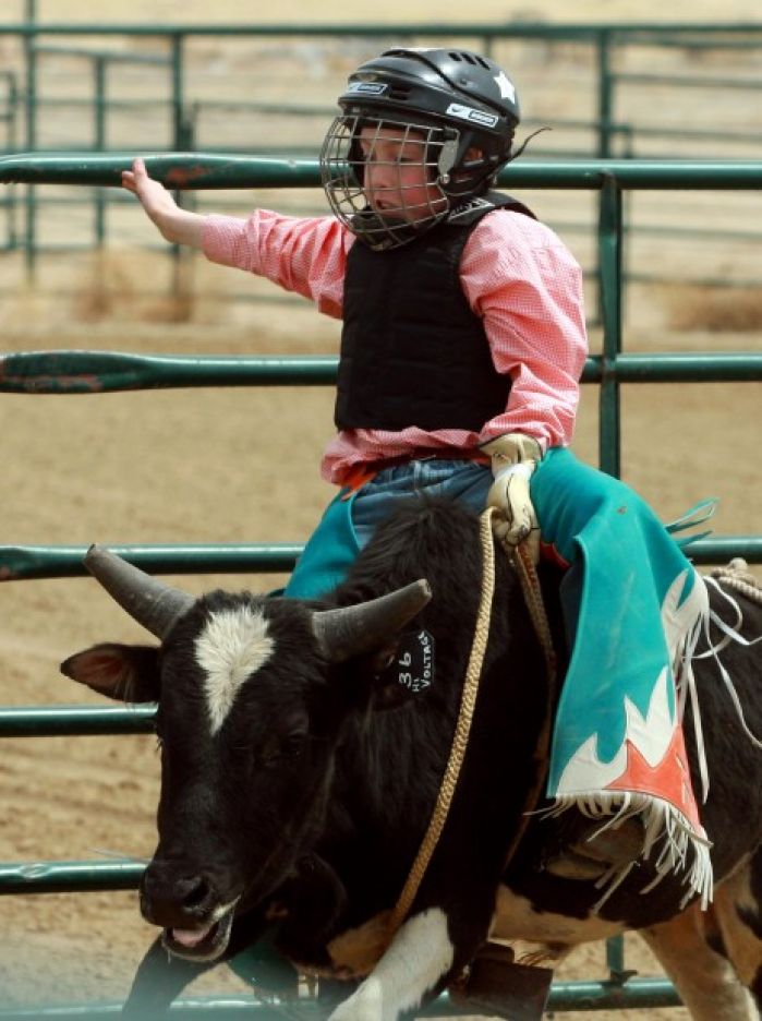 Mini Bull Riding